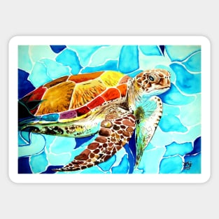 Sea Turtle Sticker